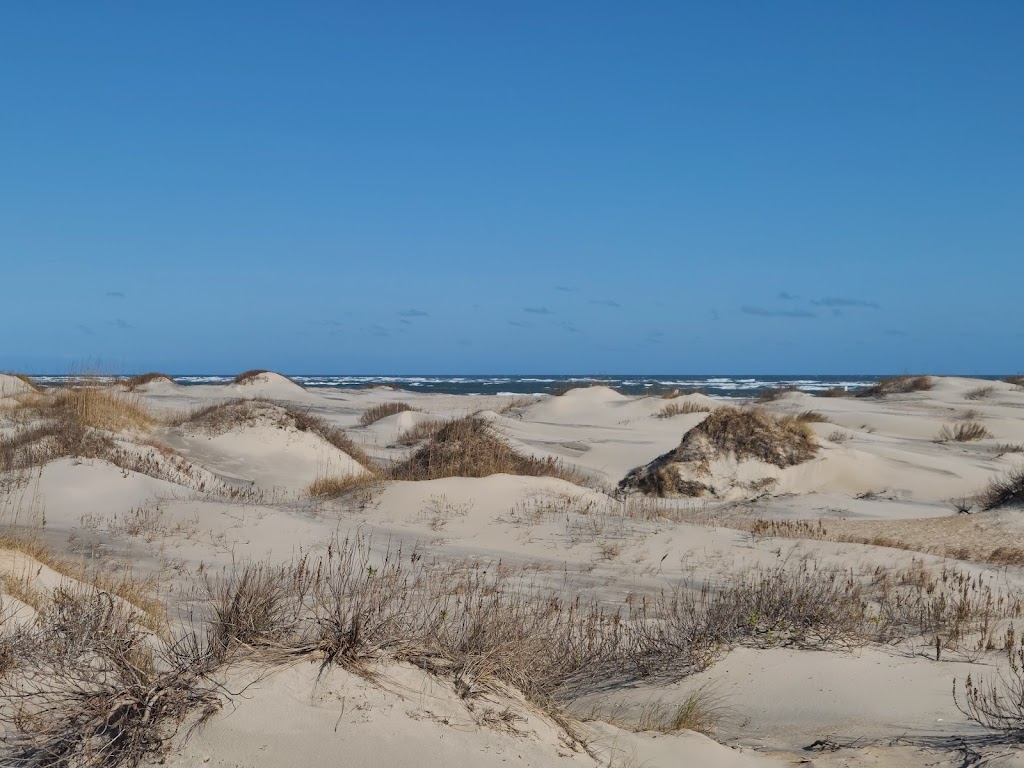 Pea Island National Wildlife Refuge