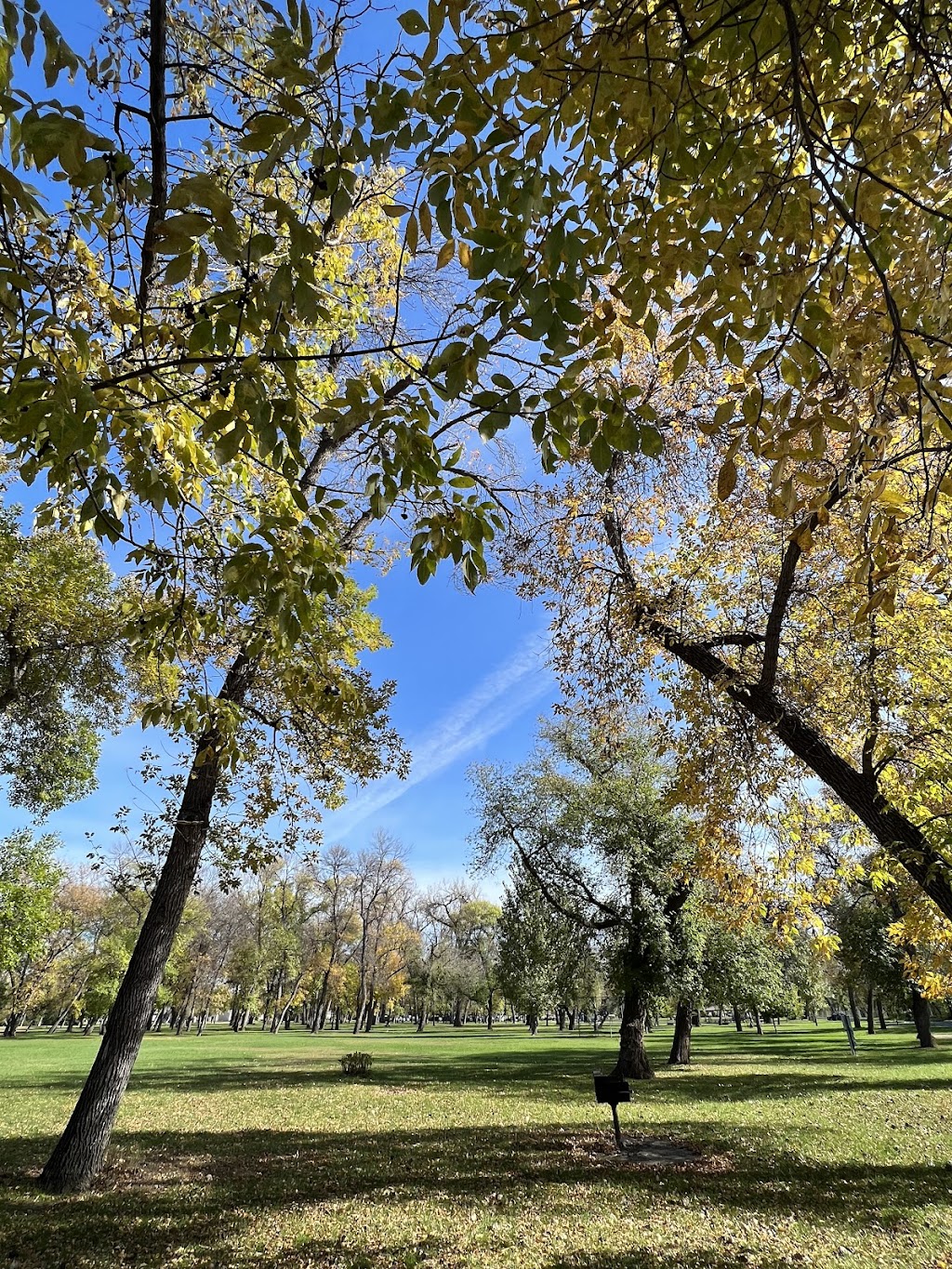 Sertoma Bark Park