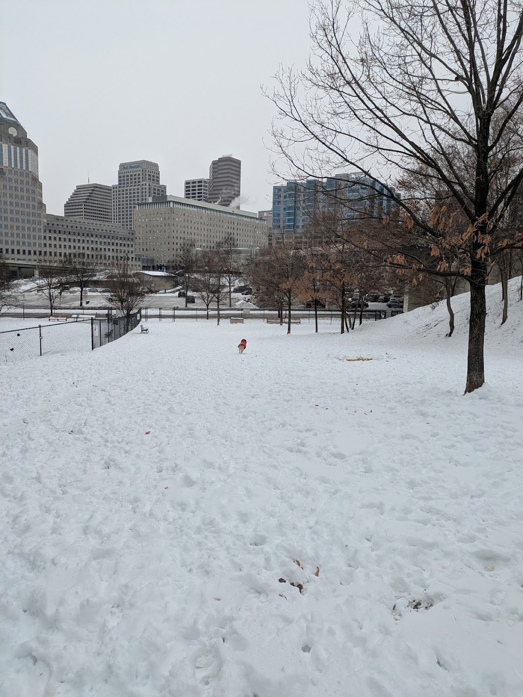 Fido Field