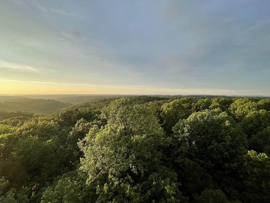 Hoosier National Forest