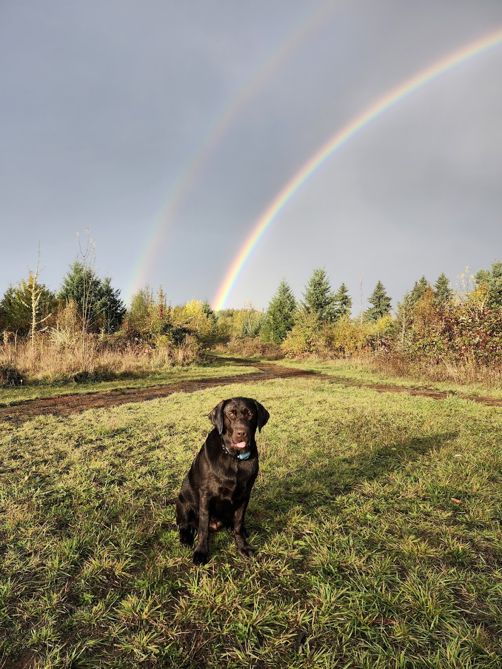 Minto-Brown Island Park (Off-Leash)