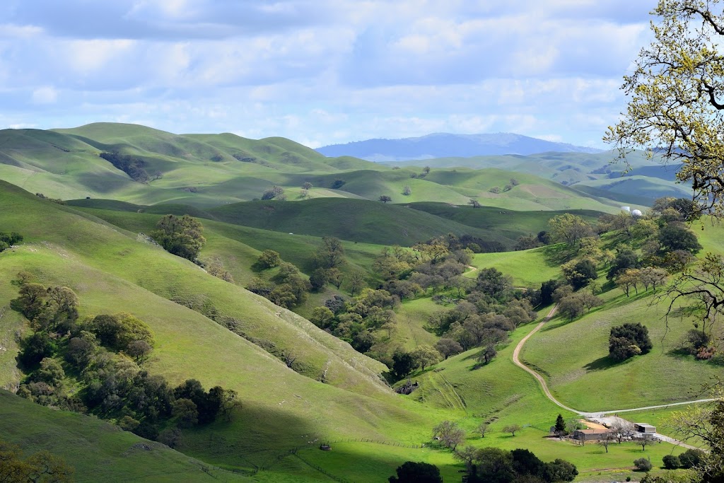 Pleasanton Ridge Regional Park