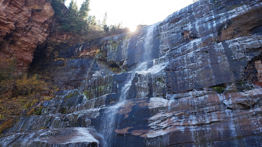 Bear Creek Falls Trail