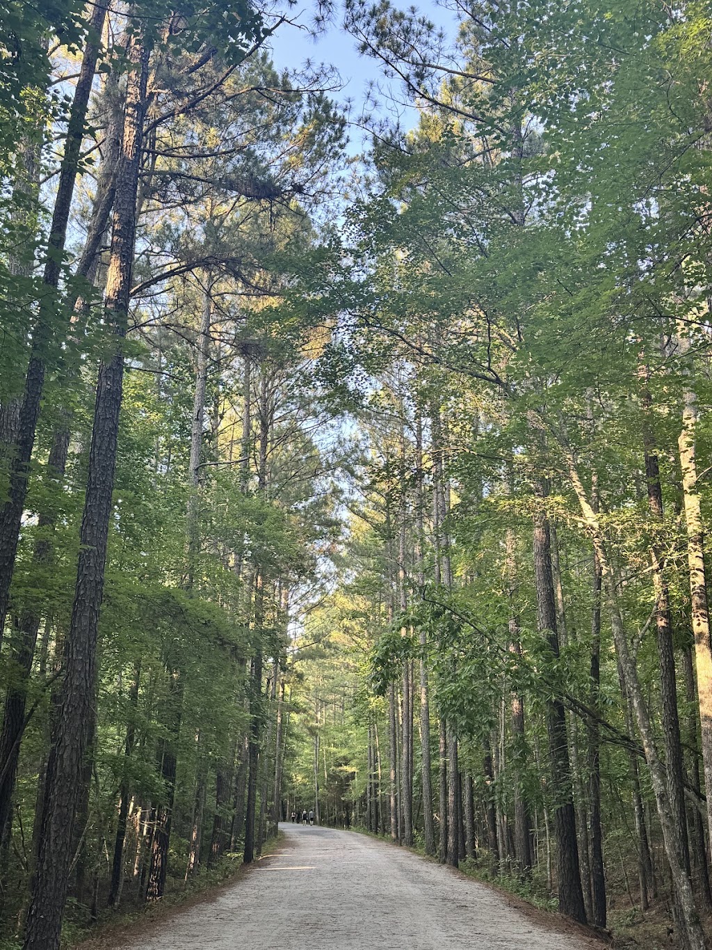 American Tobacco Trail (Cary/New Hill)
