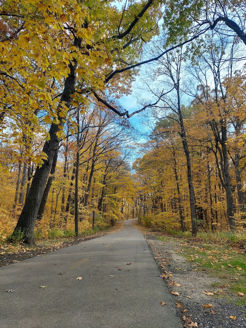 Petrifying Springs Park