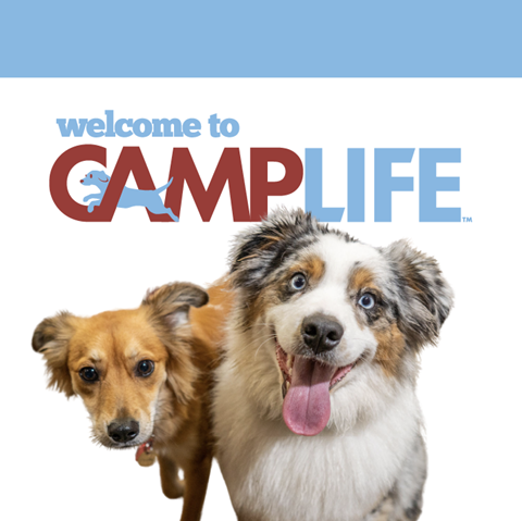 Camp Bow Wow Anchorage