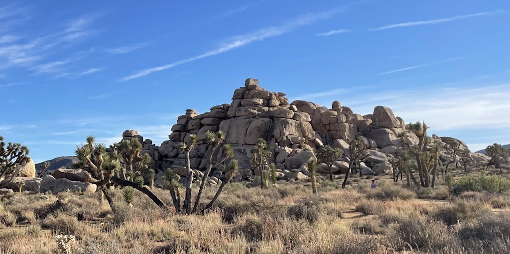 Joshua Tree National Park