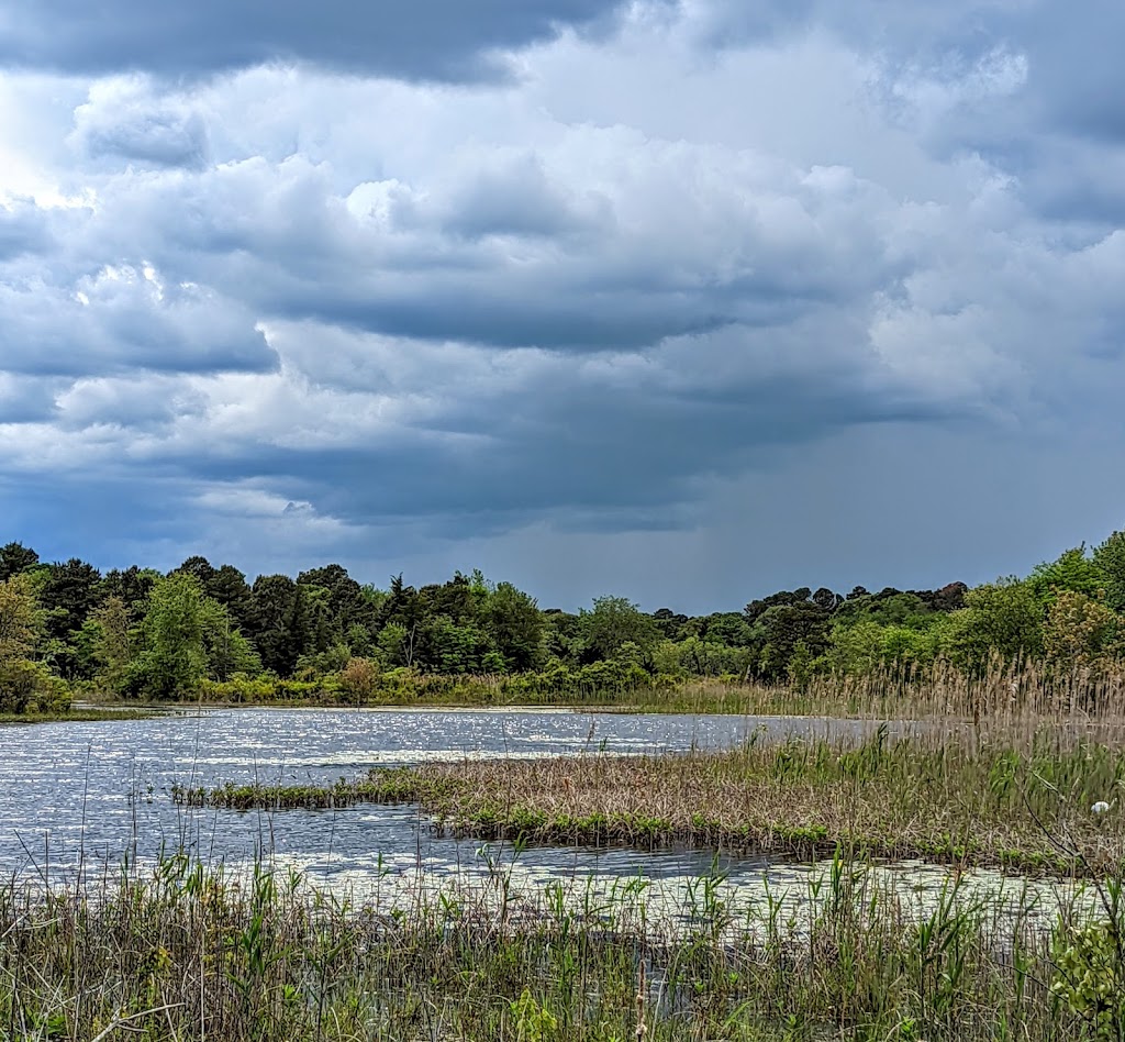 Edwin B. Forsythe National Wildlife Refuge, Galloway
