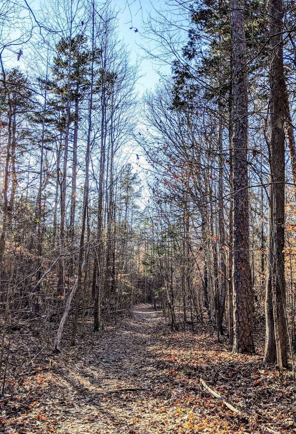 Reedy Creek Dog Park