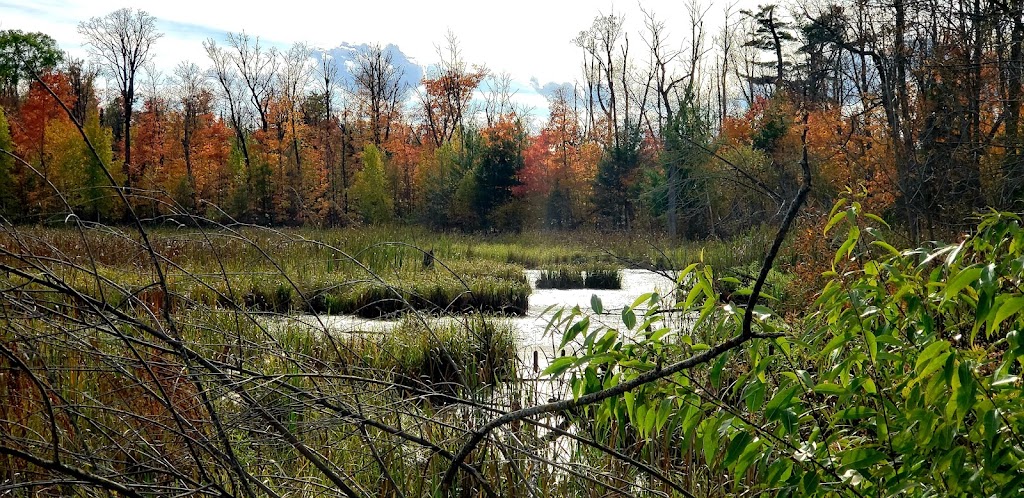 Heartland State Trail