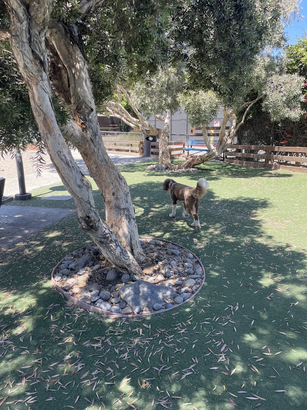 Mission Bay Dog Park