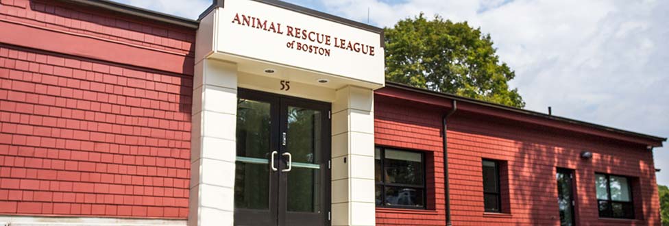 Animal Rescue League of Boston