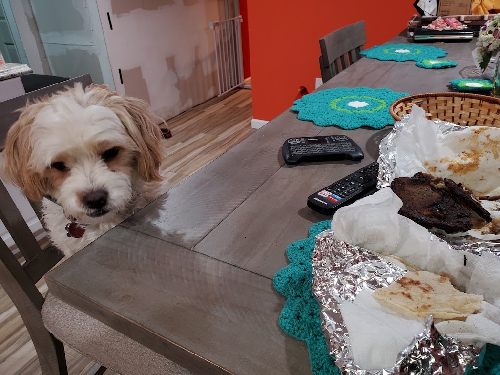 Humane Animal Partners (Wilmington)