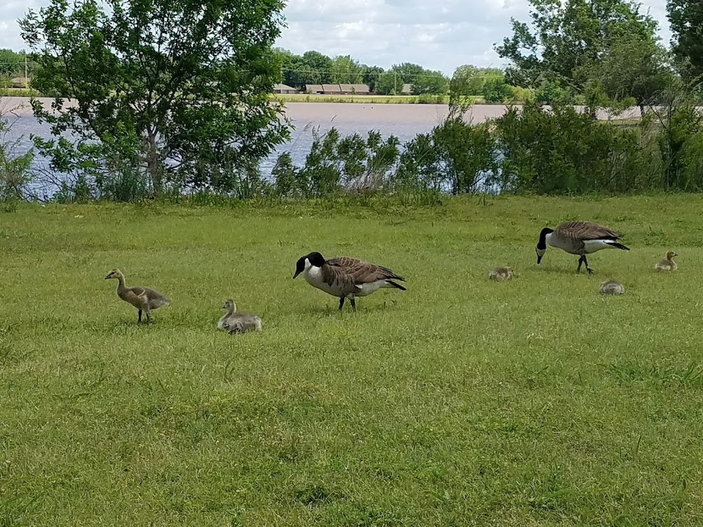 Stillwater Dog Park (Boomer Lake)