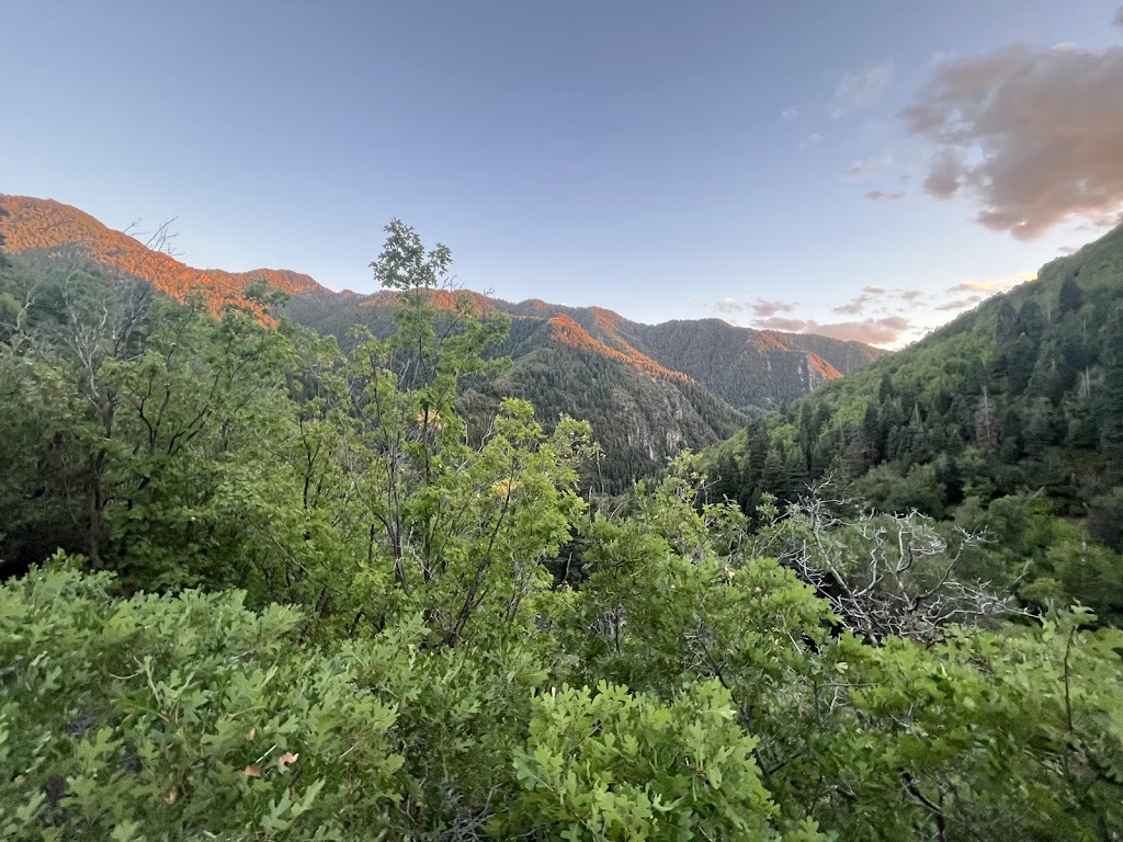 Pipeline Trail (Millcreek Canyon)