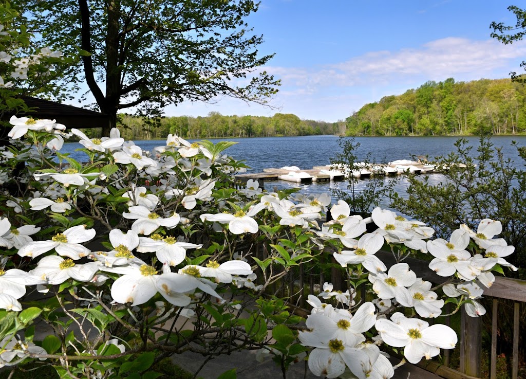Chain O' Lakes State Park, Albion