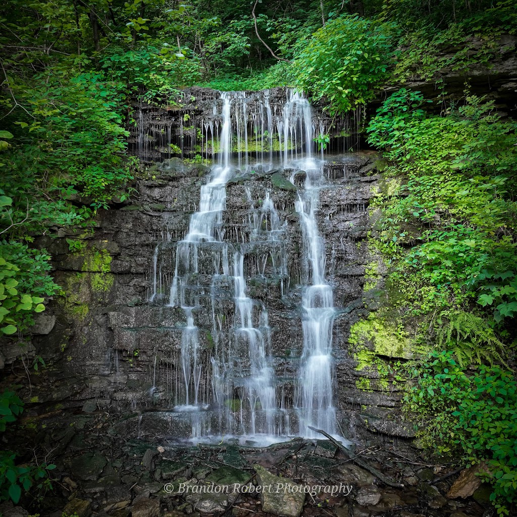 Cove Spring Park