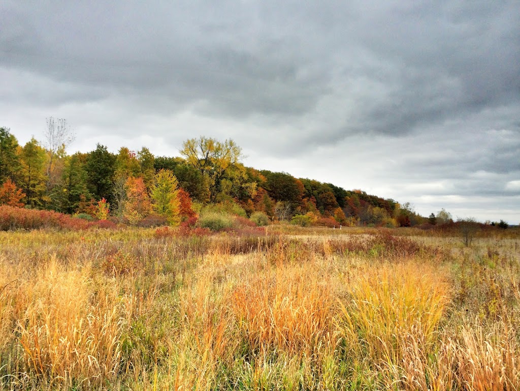 Baldwin Woods Preserve