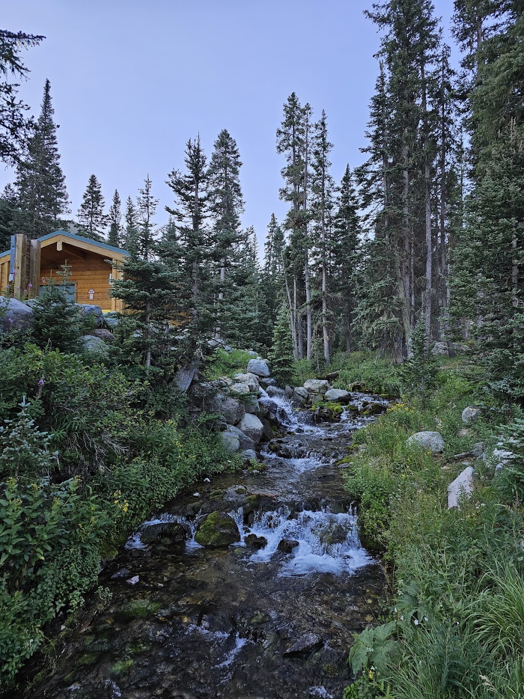 Williams Lake Trail