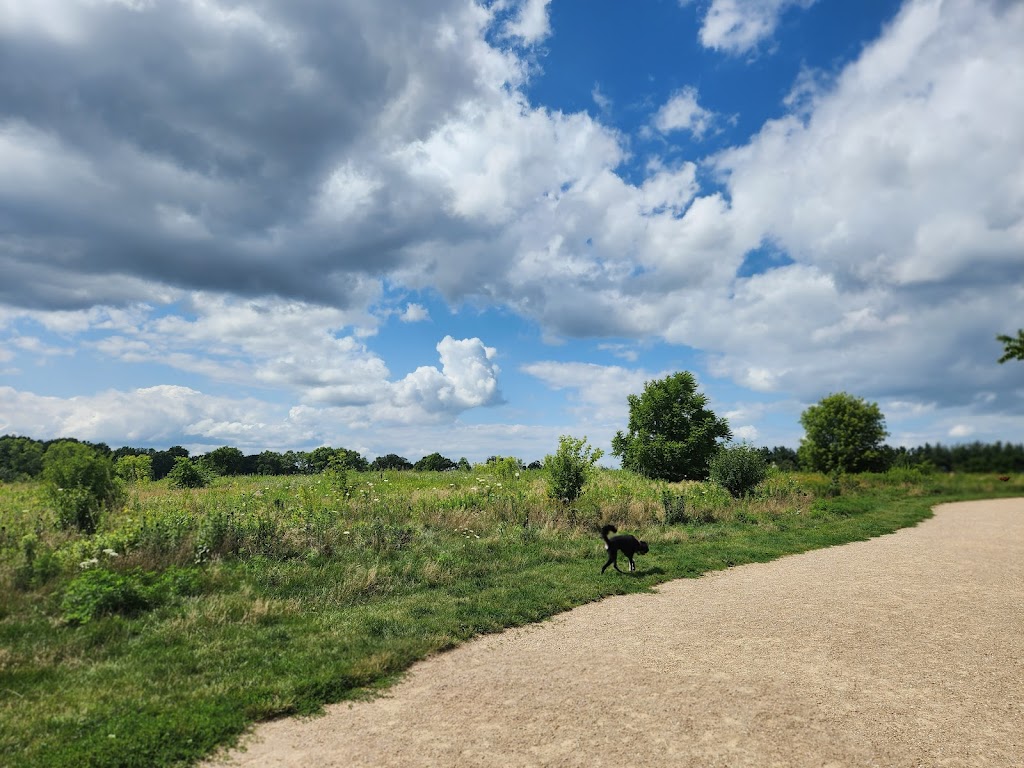 Quann Park Off-Leash Dog Park