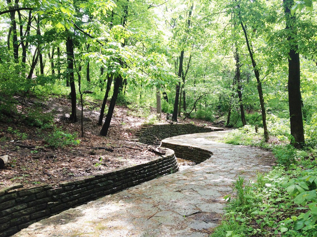Dan Ryan Woods