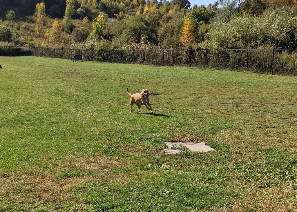 Miry Brook Dog Park