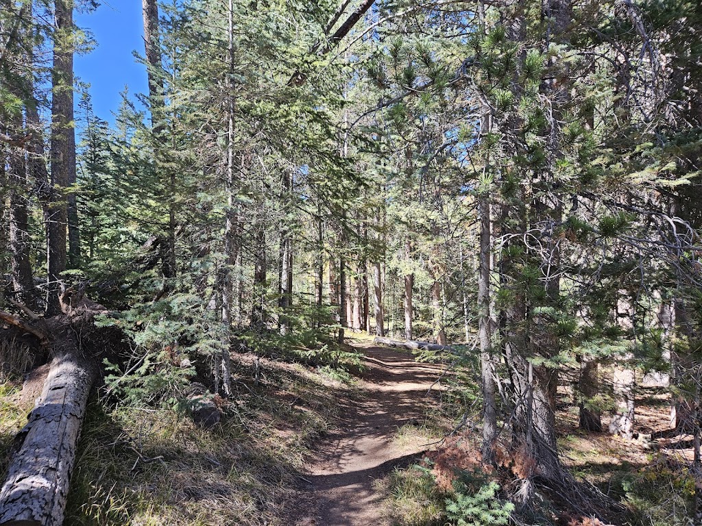 Pole Mountain Recreation Area