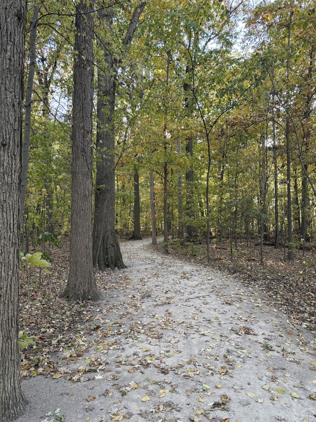 Northwood Bark Park