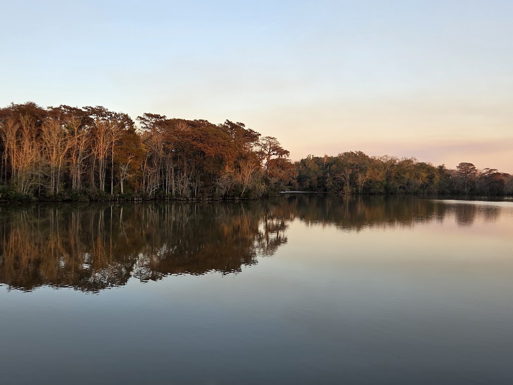 Palmetto Island State Park, Abbeville