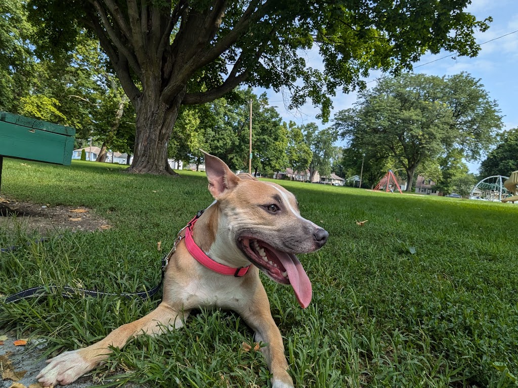 South Bend Animal Resource Center