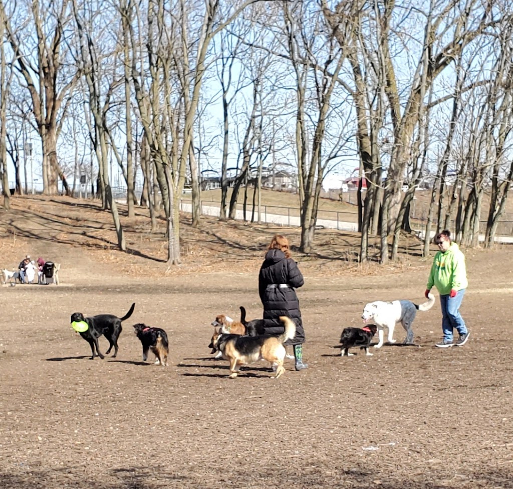 Mishawaka Dog Park (Margaret H. Prickett Marina Park)