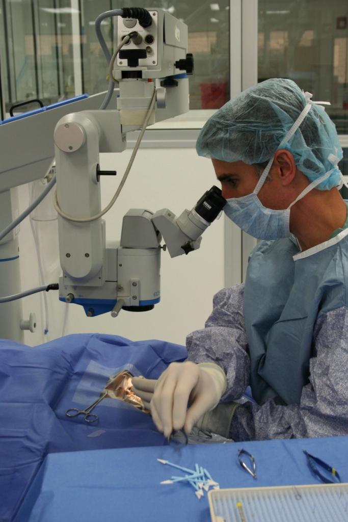 Port City Veterinary Referral Hospital