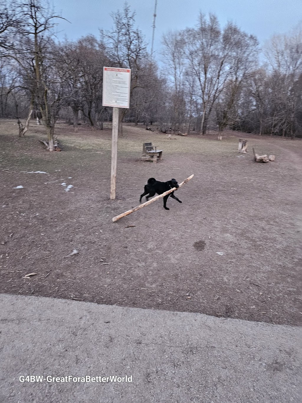 Memorial Park Dog Exercise Area