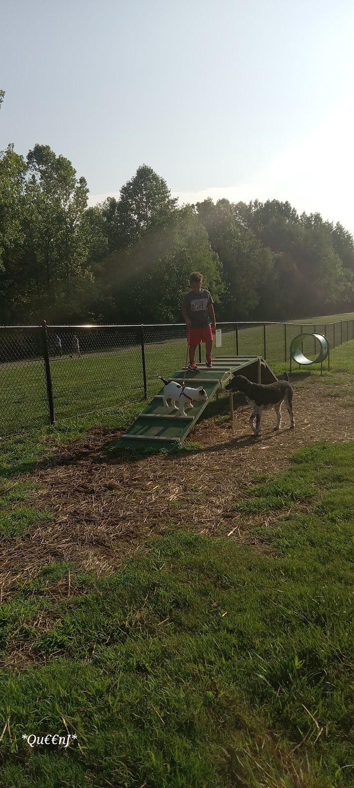 Cane Creek Park Dog Park