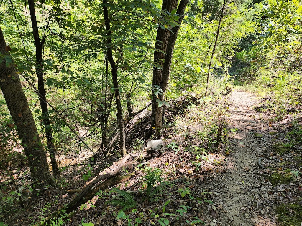 River Mountain Park Dog Park