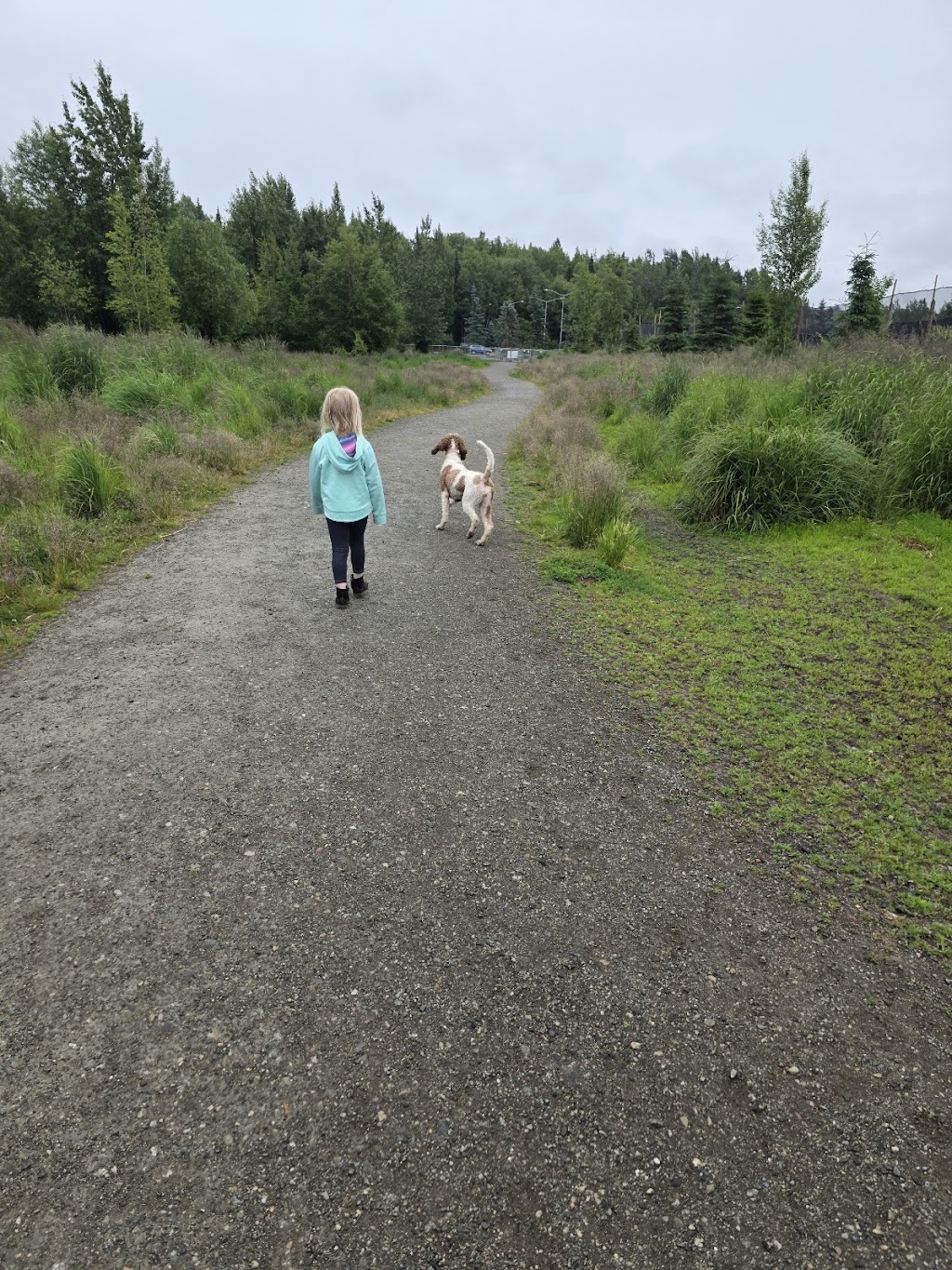 South Anchorage Sports Park (Dog Park)