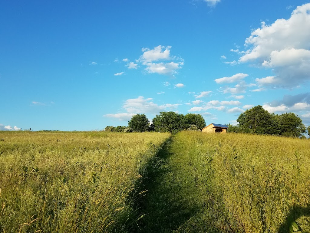 Bafflin Sanctuary (Connecticut Audubon)