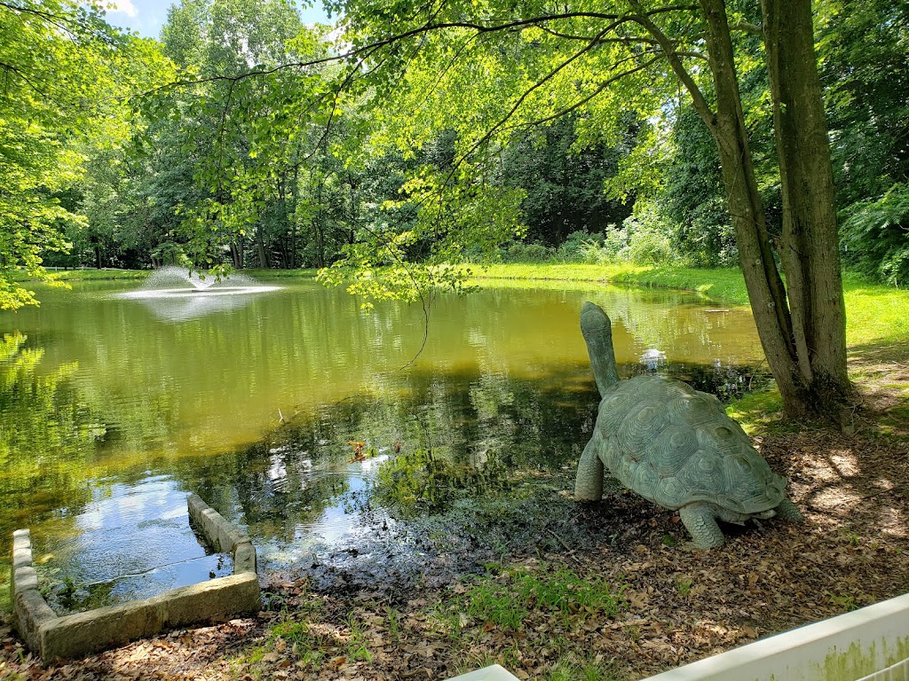 Carousel Park Bark Park