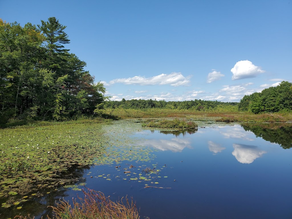 Bristol Blake State Reservation (Stony Brook)