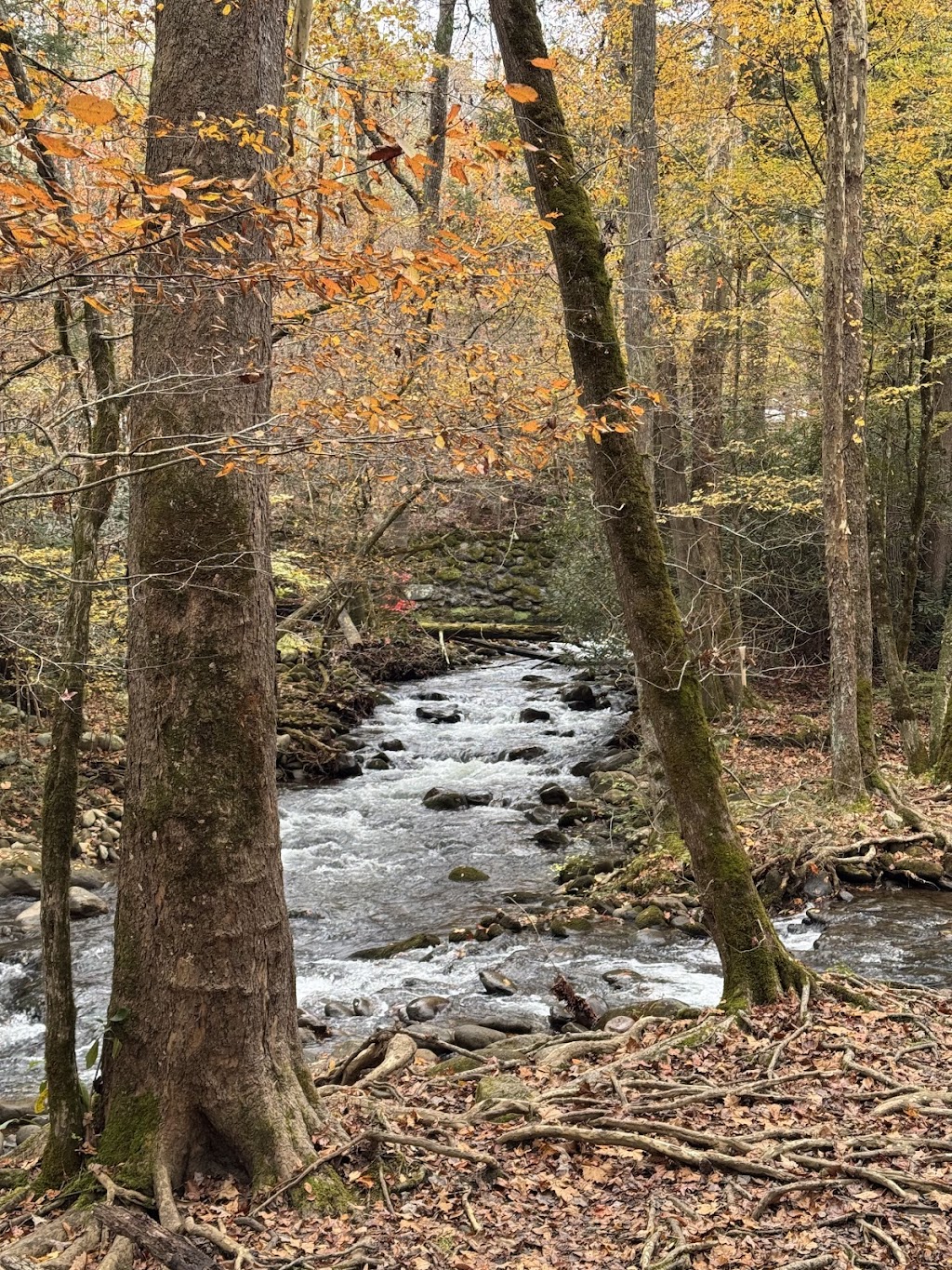 Gatlinburg Trail (Great Smoky Mountains NP)