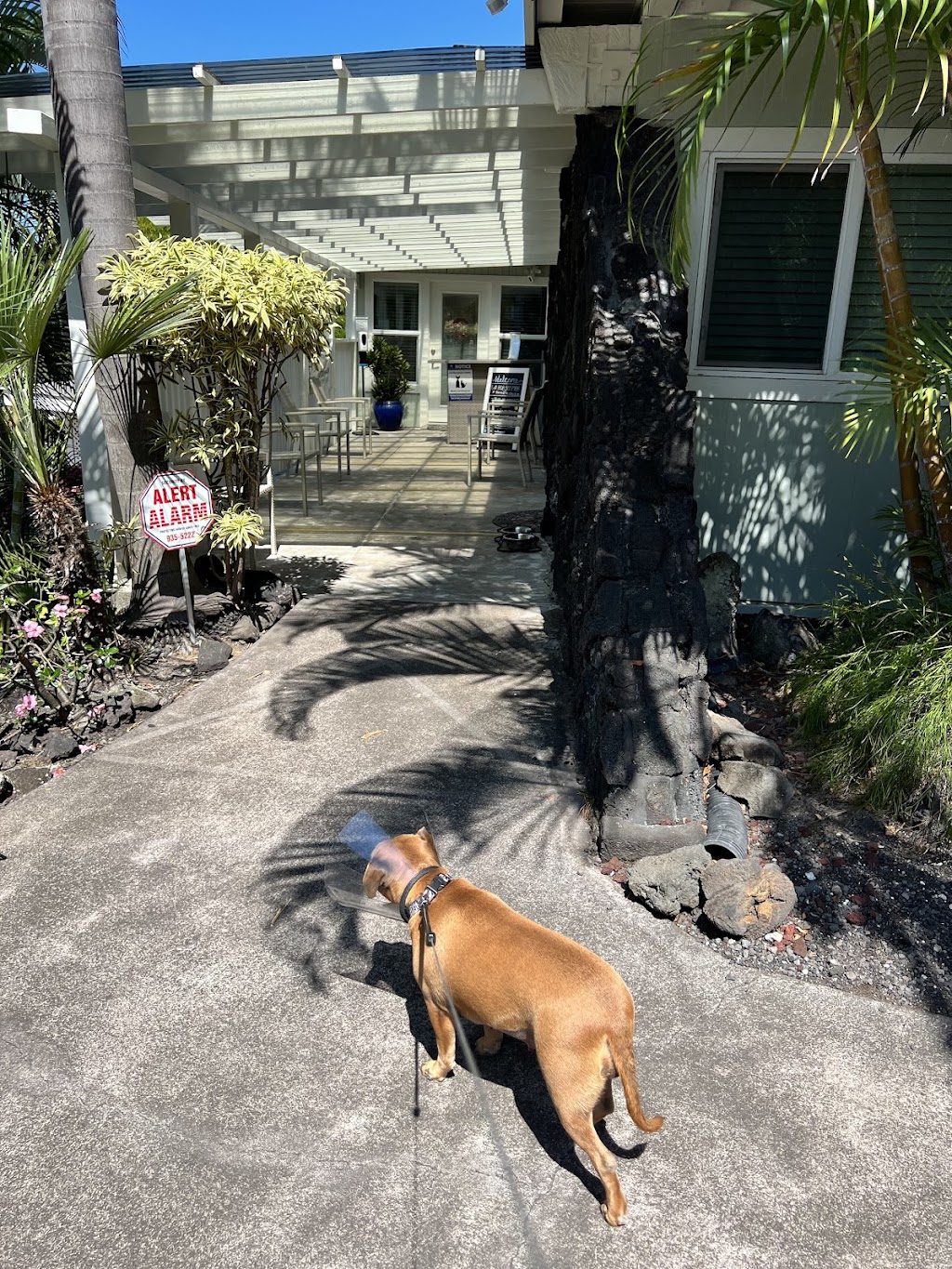 Keauhou Veterinary Hospital