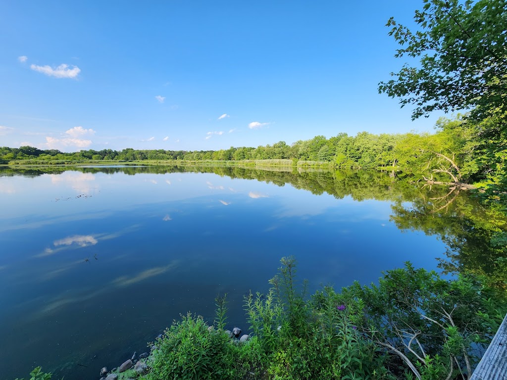 Celery Farm Natural Area