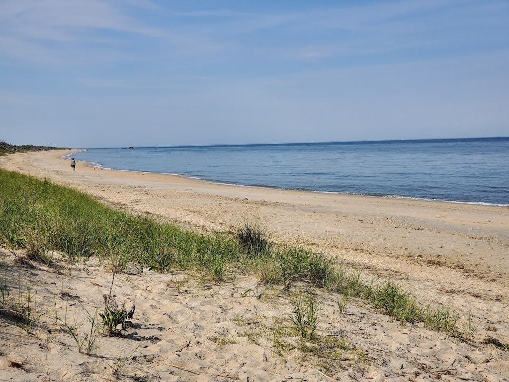 Cape May Dog Beach