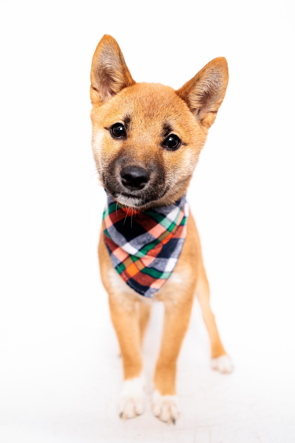 Kentucky Humane Society