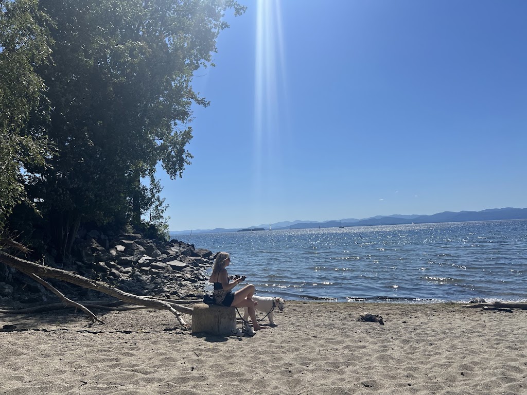 Texaco Beach (Dog Beach)