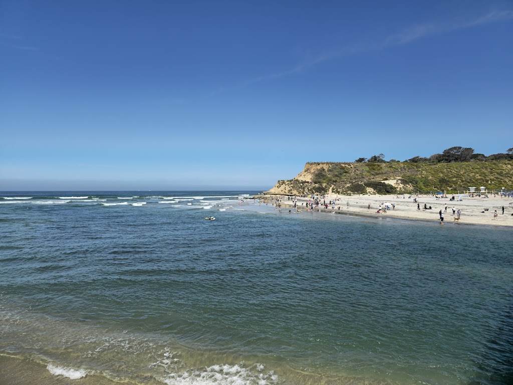 Del Mar Dog Beach (North Beach)