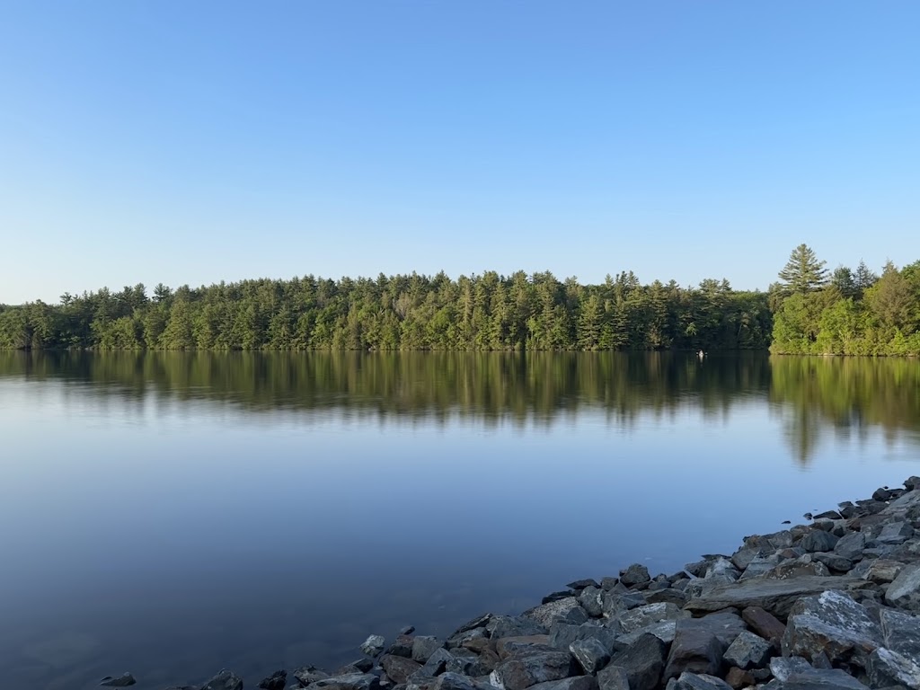 DAR State Forest