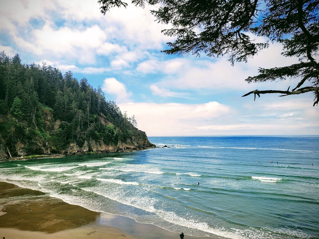 Oswald West State Park