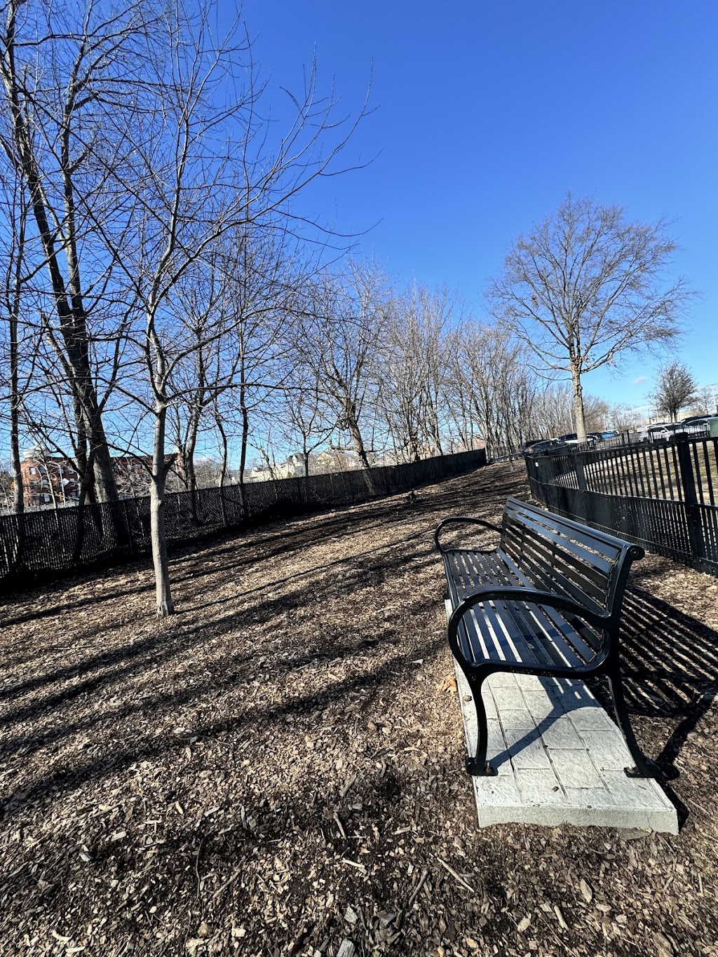 Bridgeport Dog Park (Wheeler Park)