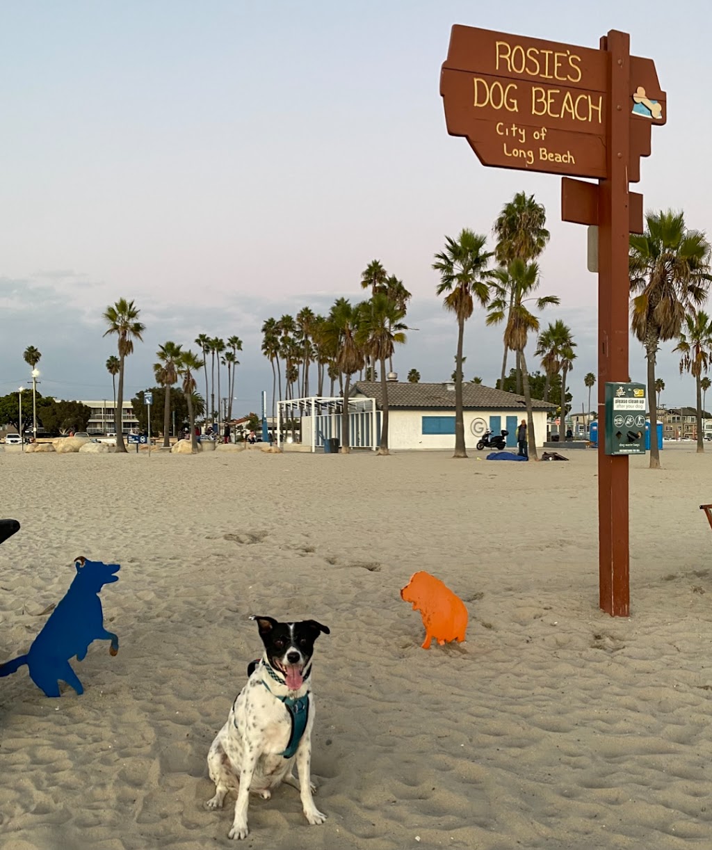 Long Beach Dog Beach Zone